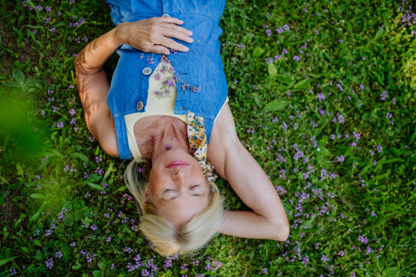 A top view of relaxed senior woman lying down in field of wild thymus flowers, natural medicine concept.