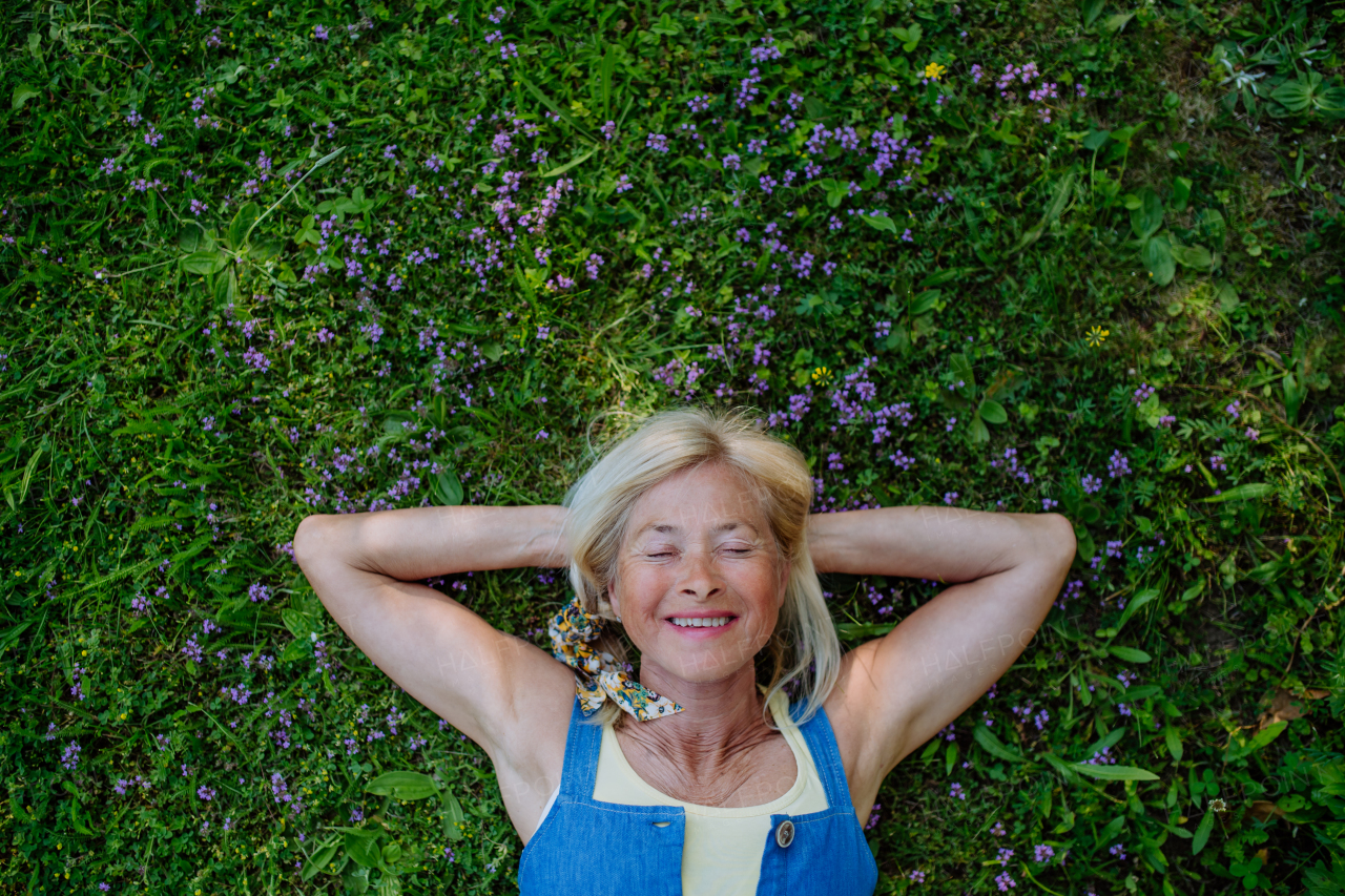 A top view of relaxed senior woman lying down in field of wild thymus flowers, natural medicine concept.