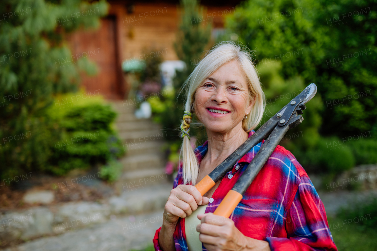 A portrait of senior woman gardening in summer, holding pruning sheares and looking at camera.