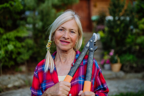 A portrait of senior woman gardening in summer, holding pruning sheares and looking at camera.