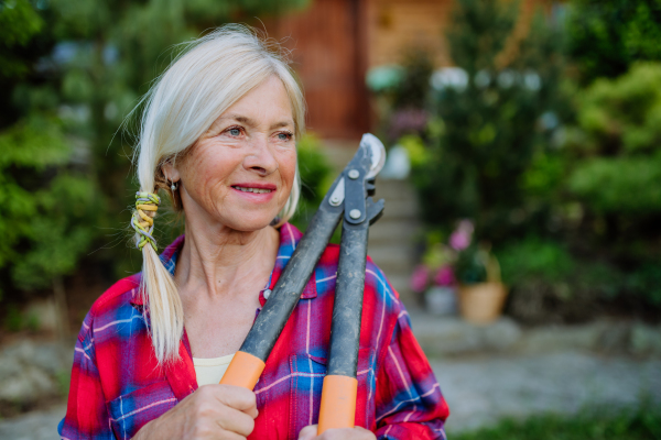 A portrait of senior woman gardening in summer, holding pruning sheares and looking at camera.