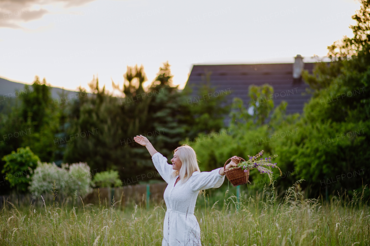 A senior woman wih basket in meadow in summer collecting herbs and flowers, natural medicine concept.