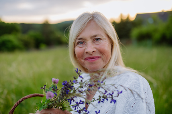 A close-up of senior woman wih basket in meadow in summer collecting herbs and flowers, natural medicine concept.