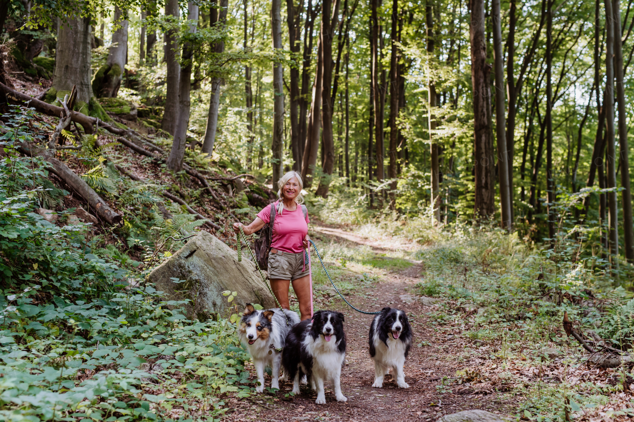 Senior woman walking with her three dogs in a forest.