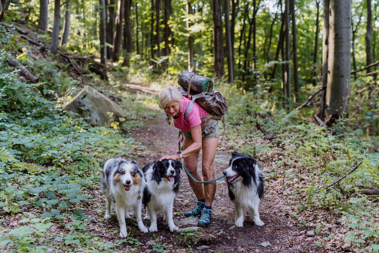 Senior woman walking with her three dogs in a forest.