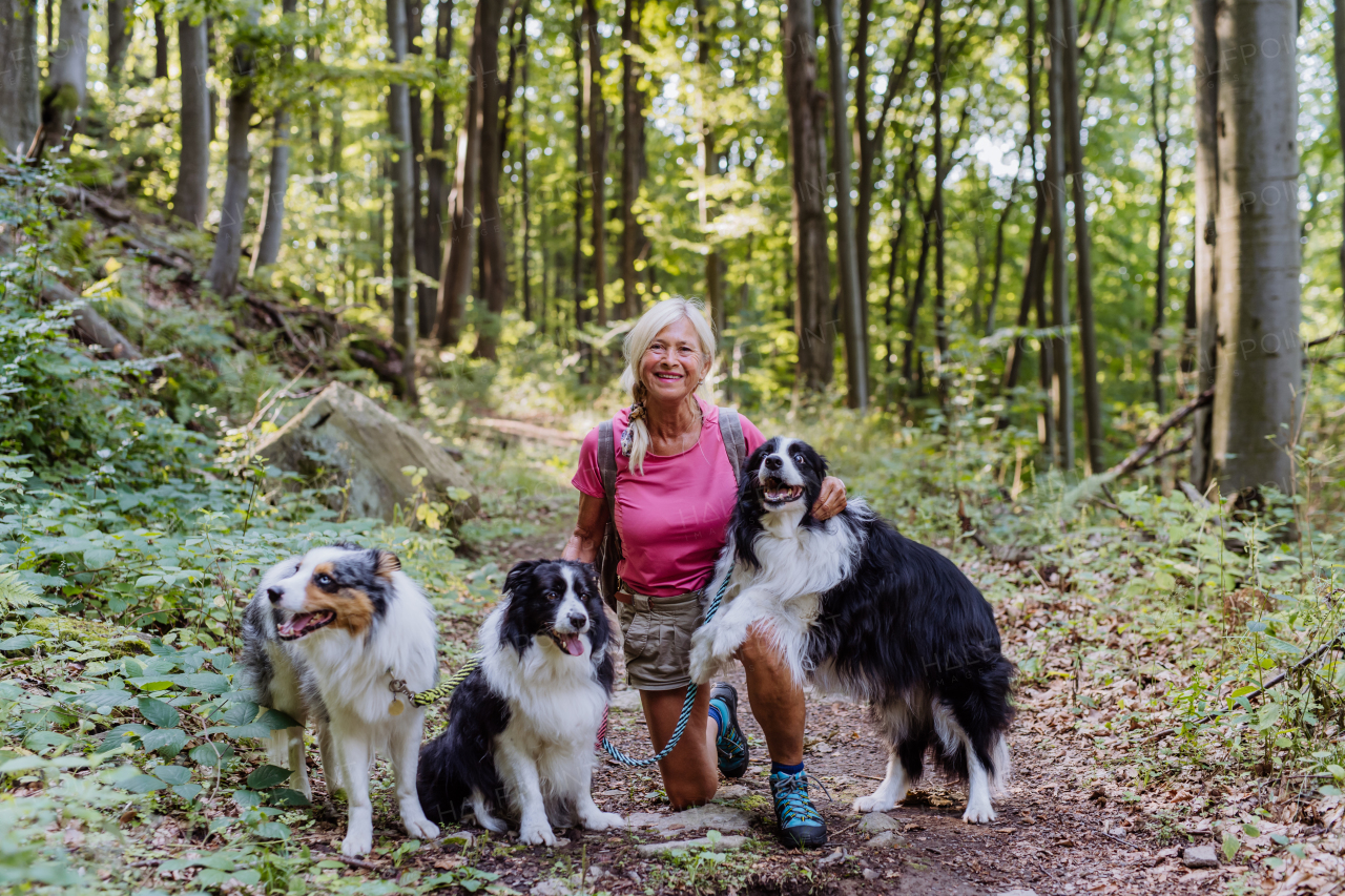 Senior woman walking with her three dogs in a forest.