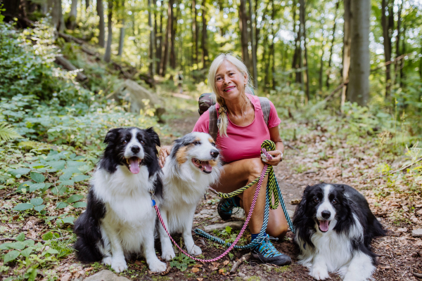 Senior woman walking with her three dogs in a forest.