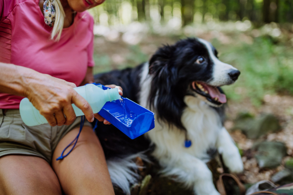 Senior woman giving water to her dog during walking in a forest.