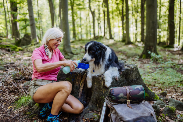 Senior woman giving water to her dog during walking in a forest.