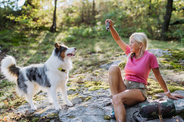 Senior woman training her dog during walk in a forest.