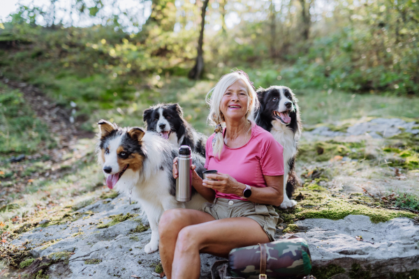 Senior woman having break during walking her three dogs in a forest.