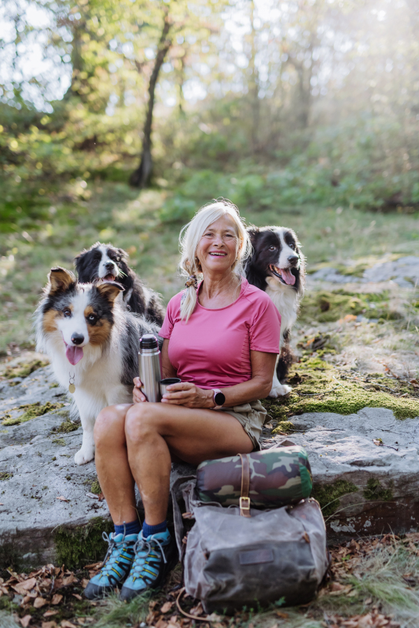 Senior woman having break during walking her three dogs in a forest.