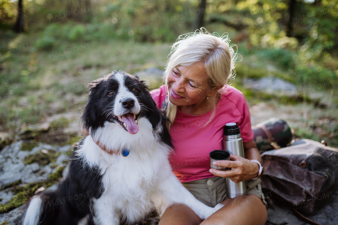 Senior woman having break during walking her dog in a forest.