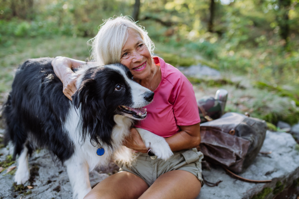 Senior woman having break during walking her dog in a forest.