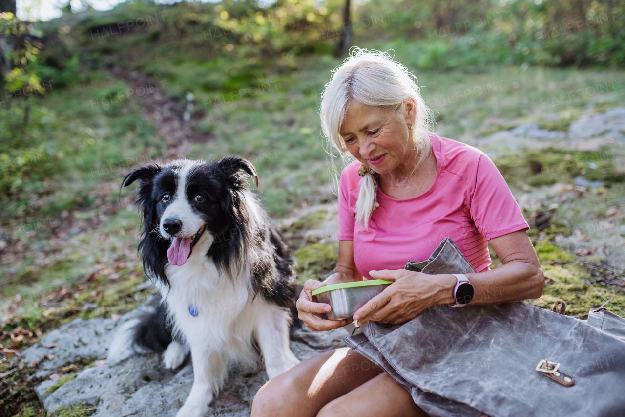 Senior woman having break during walking her dog in a forest.