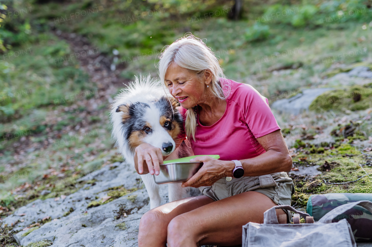 Senior woman giving water to her dog during walking in a forest.