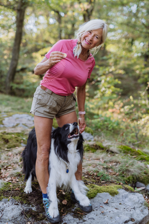 Senior woman training her dog during walk in a forest.