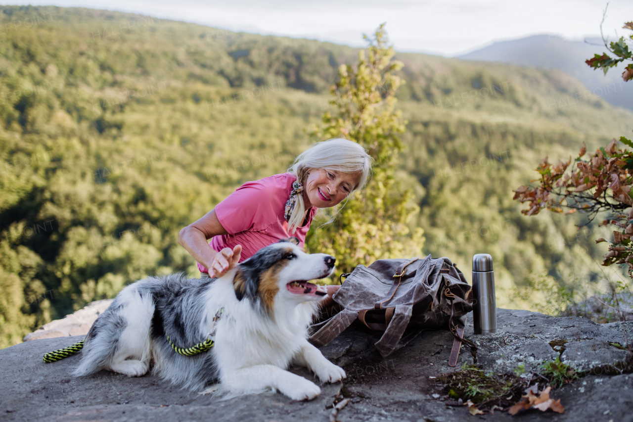 Senior woman resting and stroking her dog during walking in a forest.