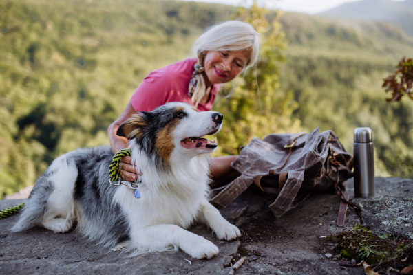 Senior woman resting and stroking her dog during walking in a forest.