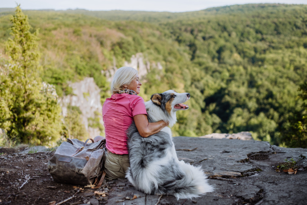 Senior woman resting and stroking her dog during walking in a forest, enjoying view together.