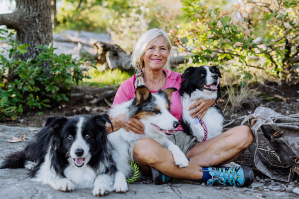 Senior woman having break during walking her three dogs in a forest.