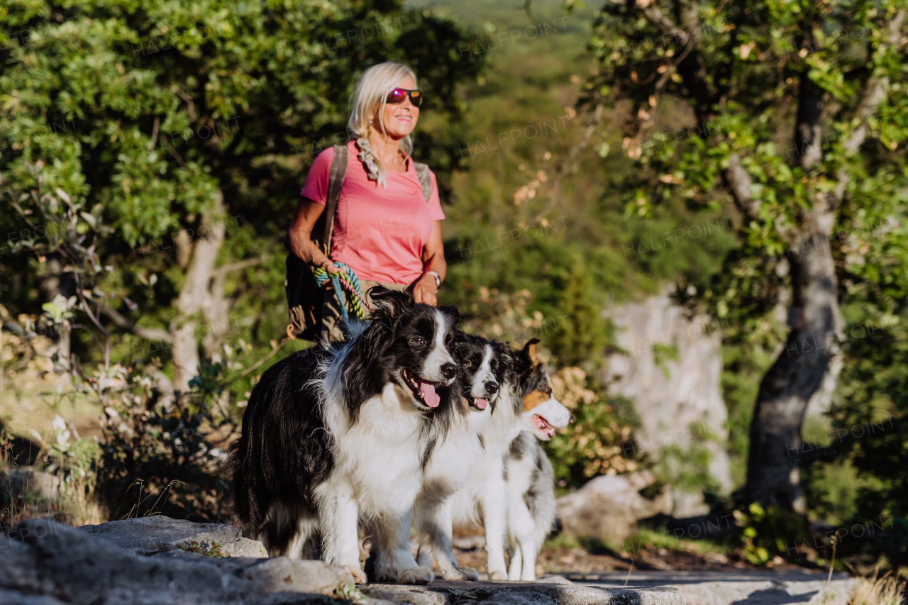 Senior woman walking with her three dogs in a forest.