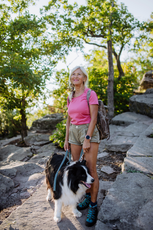 Senior woman walking with her three dog in a forest.