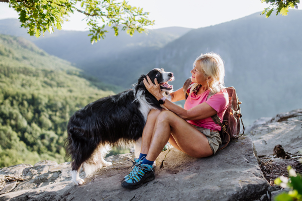 Senior woman resting and stroking her dog during walking in a forest.