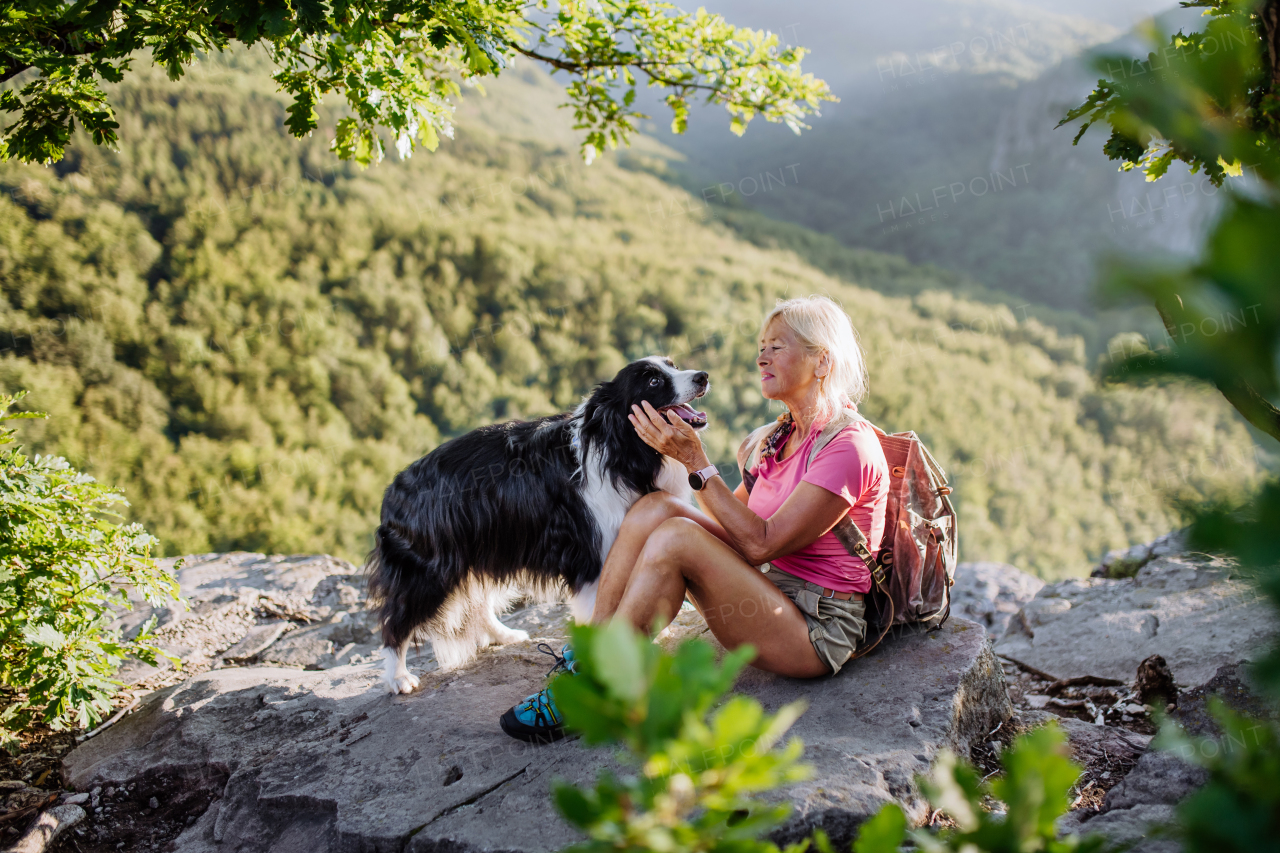 Senior woman resting and stroking her dog during walking in a forest.