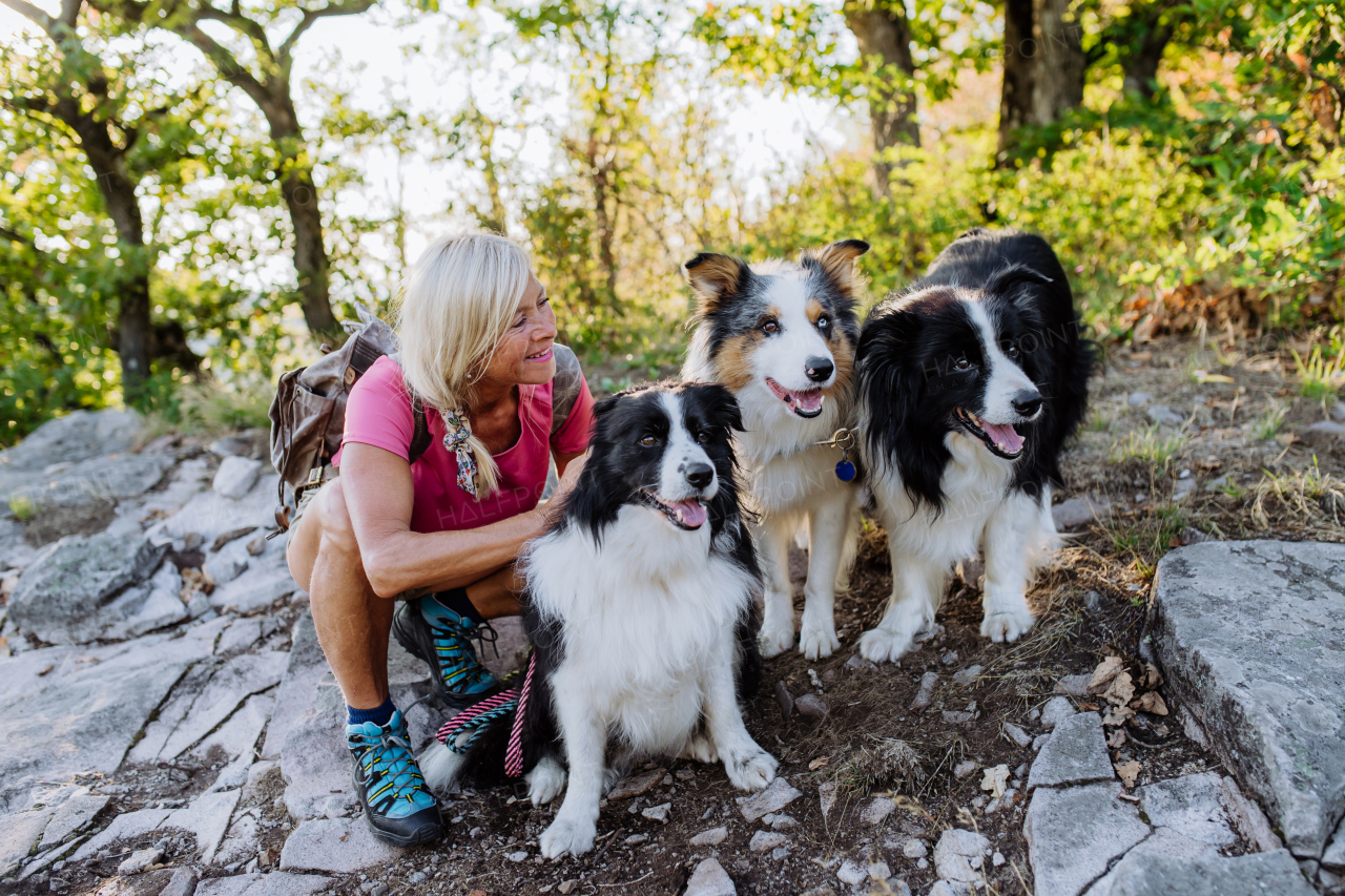 Senior woman having break during walking her three dogs in a forest.