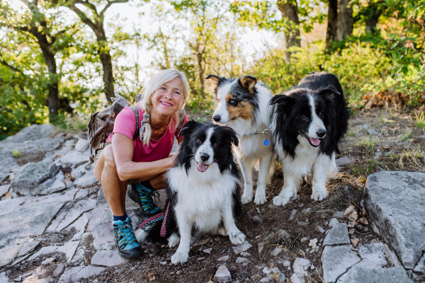 Senior woman having break during walking her three dogs in a forest.