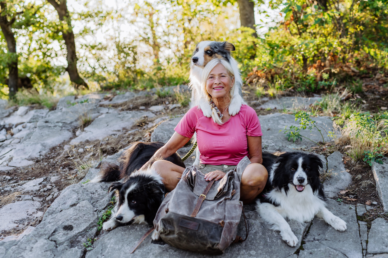 Senior woman having break during walking her three dogs in a forest.