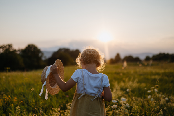 Rear view of adorable little girl with straw hat in hand standing in the middle of summer meadow. Child with curly blonde hair watching sunset. Kids spending summer with grandparents in the countryside.