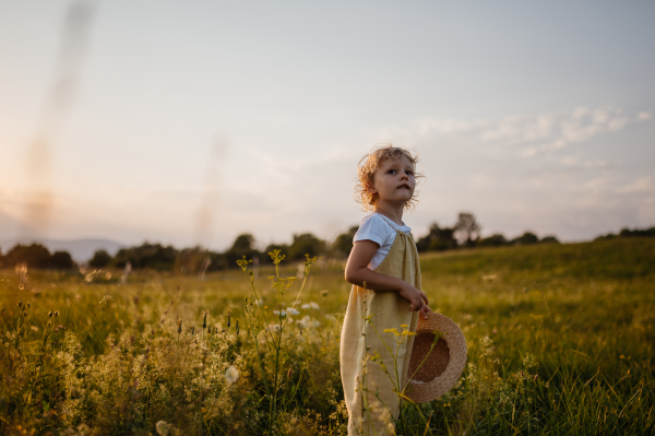 Side view of adorable little girl with straw hat standing in the middle of summer meadow. Child with curly blonde hair during sunset. Kids spending summer with grandparents in the countryside.