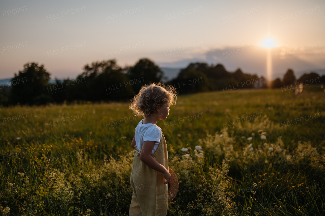 Portrait of adorable little girl with straw hat standing in the middle of summer meadow. Child with curly blonde hair during sunset. Kids spending summer with grandparents in the countryside.