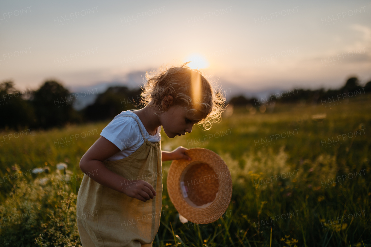 Side view of adorable little girl with straw hat standing in the middle of summer meadow. Child with curly blonde hair picking flowers during sunset. Kids spending summer with grandparents in the countryside.