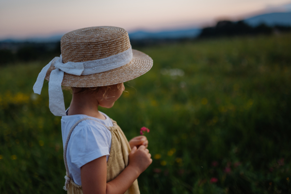 Rear view of adorable little girl with straw hat standing in the middle of summer meadow. Child with curly blonde hair picking flowers during sunset. Kids spending summer with grandparents in the countryside.