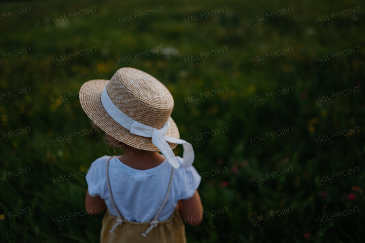 Rear view of adorable little girl with straw hat standing in the middle of summer meadow. Child with curly blonde hair picking flowers during sunset. Kids spending summer with grandparents in the countryside.