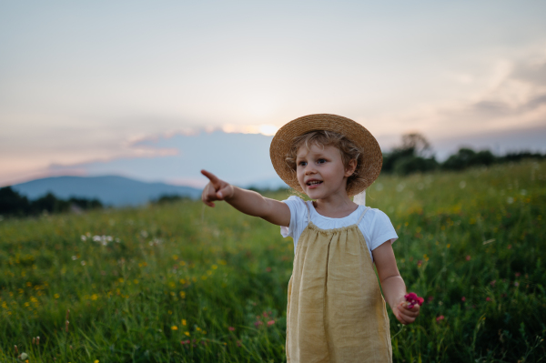 Portrait of adorable little girl with straw hat standing in the middle of summer meadow at the sunset. Child with curly blonde hair pointing at someting in the distance with finger. Kids spending summer with grandparents in the countryside.