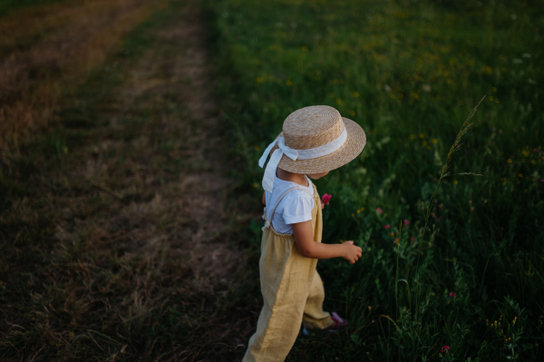 Rear view of adorable little girl with straw hat on walk during warm summer evening. Child with curly blonde hair picking flowers during sunset. Kids spending summer with grandparents in the countryside.