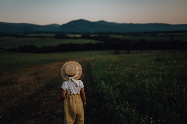 Rear view of adorable little girl with straw hat standing in the middle of summer meadow. Child with curly blonde hair watching sunset. Kids spending summer with grandparents in the countryside.