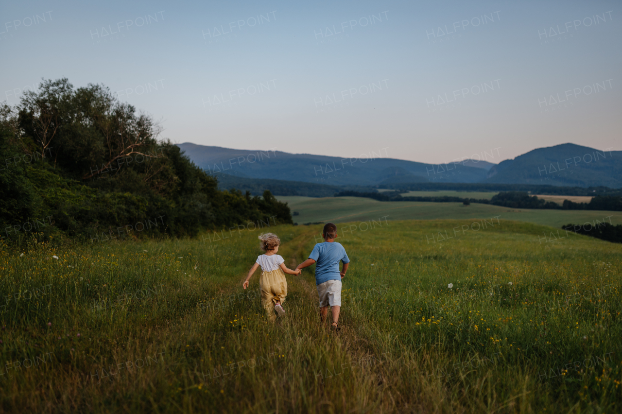 Rear view of adorable little siblings running and playing in the middle of summer meadow. Young boy and girl rush home at the evening, watching the sunset. Kids spending summer with grandparents in the countryside.