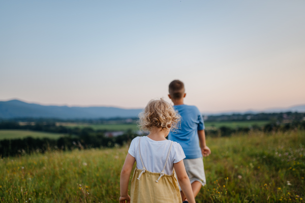 Rear view of adorable little siblings running and playing in the middle of summer meadow. Young boy and girl rush home at the evening, watching the sunset. Kids spending summer with grandparents in the countryside.