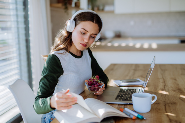 Young woman having homeoffice in an apartment.