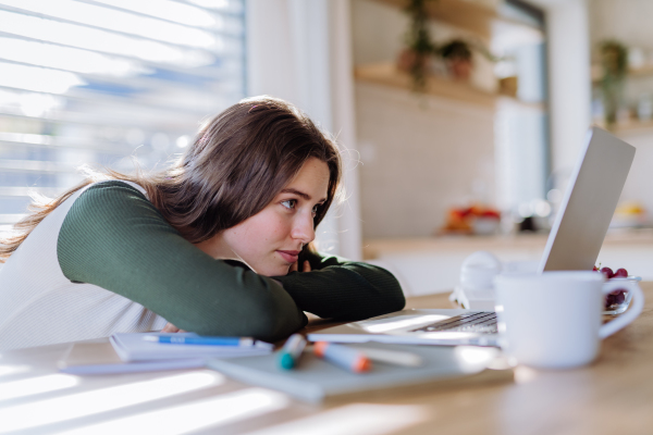 Portrait of a bored woman with laptop, homeoffice concept.