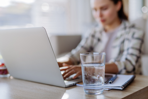 Young woman having homeoffice in an apartment.