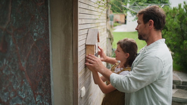 A girl installing a bug hotel on exterior wall of house. Father helping her to mount bug house at home.