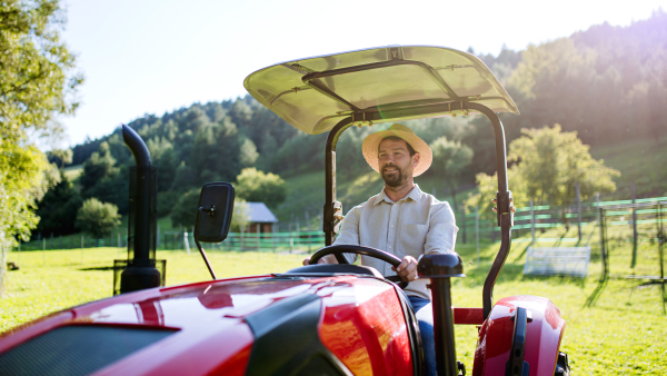 Farmer riding tractor on field. Harvesting crops, collecting vegetables on family farm. Concept of farming and agricultural business.