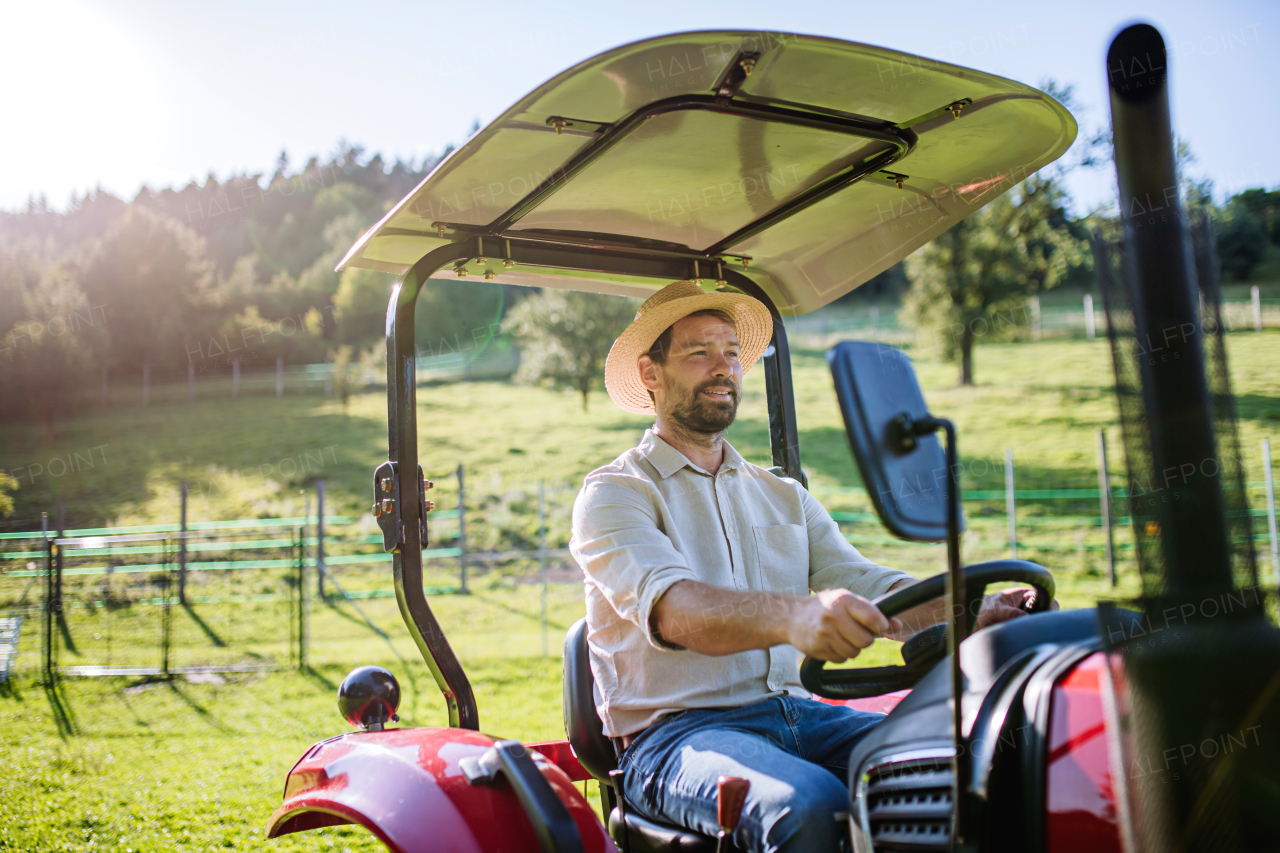 Farmer riding tractor on field. Harvesting crops, collecting vegetables on family farm. Concept of farming and agricultural business.