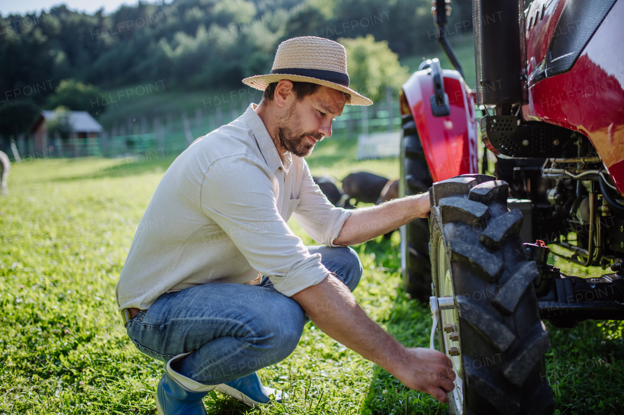 Farmer fixing wheel on tractor. Tractor maintenance. Harvesting crops, collecting vegetables on family farm. Concept of farming and agricultural business.